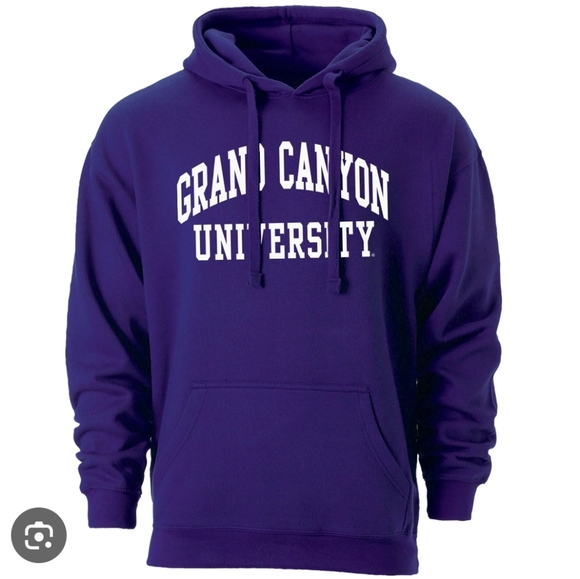 Jansport Other - Jansport Deep Purple University Hoodie